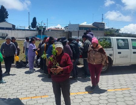  Entrega de plantas medicinales y forestales