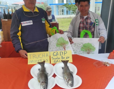 Truchas que Dinamizan la Economía y Alimentan al Campo